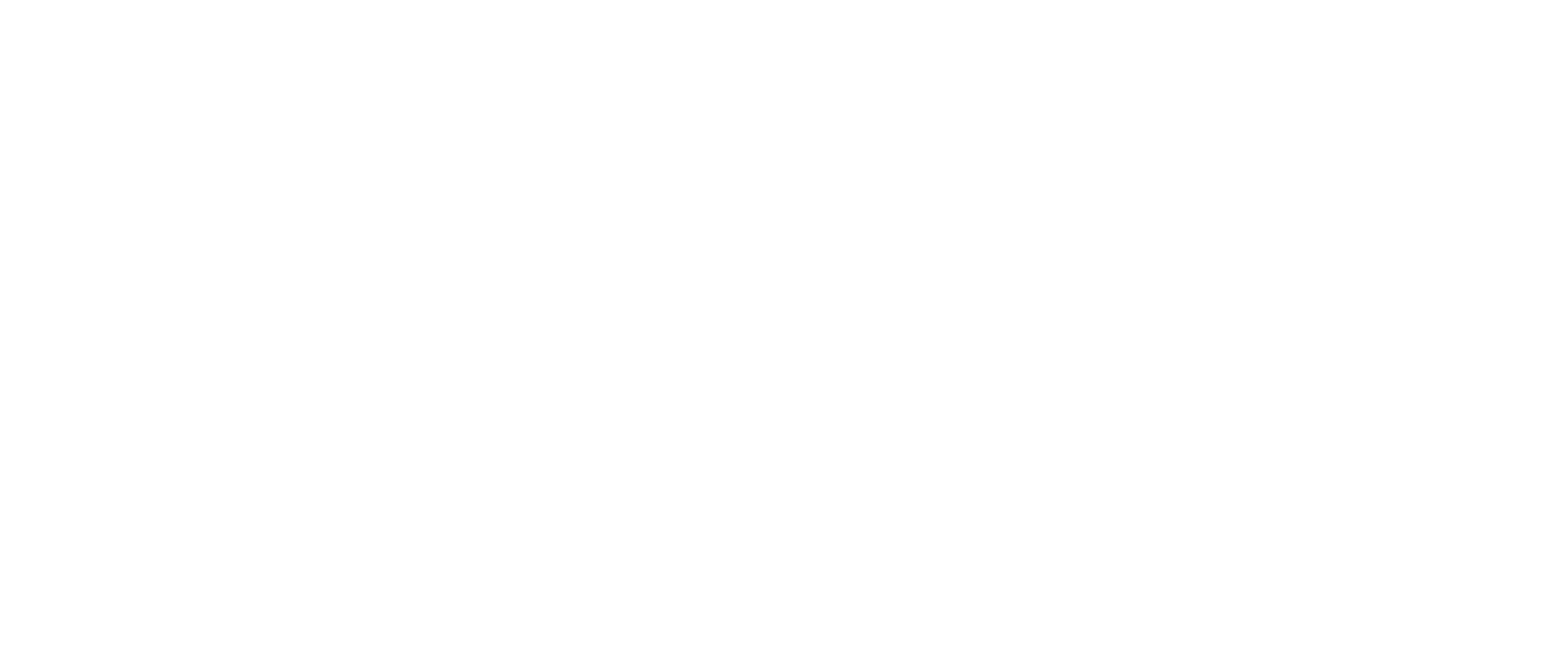 Rivin Group